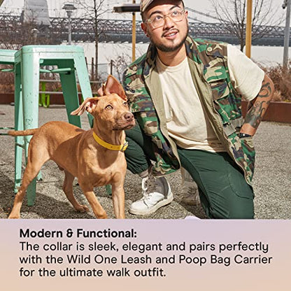 Wild One Dog Collar, Easy-Clean, All Weather Flex-Poly Strap with Metal, Durable, Dirt and Odor Resistant (Butter, M) - color: Butter, size: M