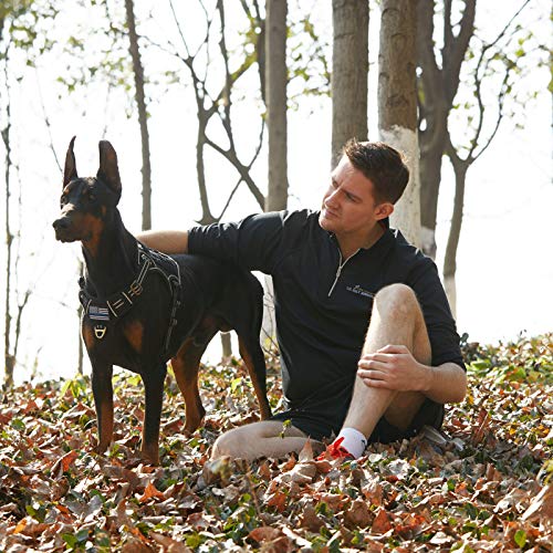 BUMBIN Tactical Dog Harness for Medium Dogs, No Pull, Reflective, Adjustable, Black, M(Neck:16-20", Chest:17-27") - color: Black, size: M(Neck:16-20", Chest:17-27")