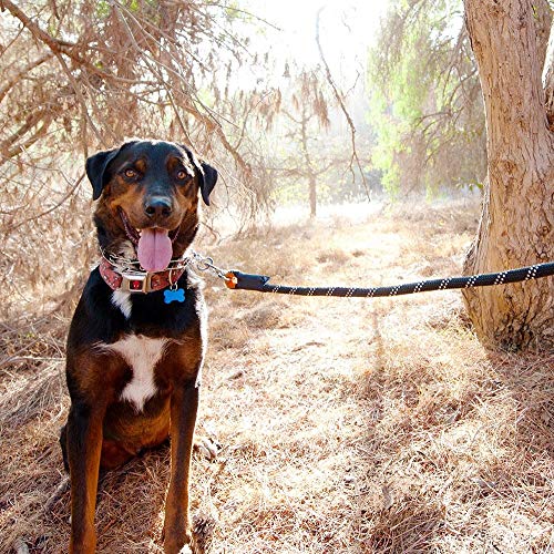 ZippyPaws Zp338 Climbers Rope Leash Original 6 Ft - Purple Dog Lead - color: Purple, size: 6 Feet