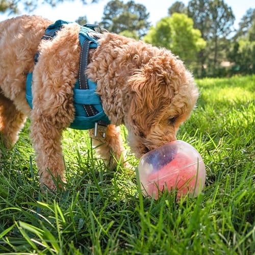 Outward Hound Nina Ottosson Topsy Treat Ball Dog Puzzle Interactive Treat Puzzle Dog Enrichment Dog Toy, Level 1 Beginner, Orange - color: Dog Rumble (Orange)