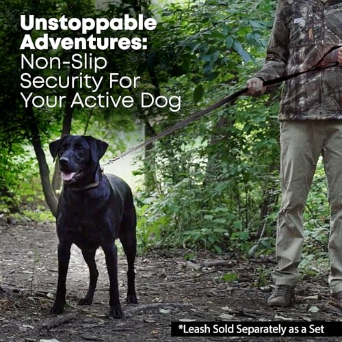 Regal Dog Products Medium Black Dog Collar with Heavy Duty Double Buckle & D Ring | Vinyl Coated, Custom Fit, Adjustable Biothane Dog Collar | Chew Resistant Waterproof Center-Ring Collar for Dogs - color: Black, size: Medium
