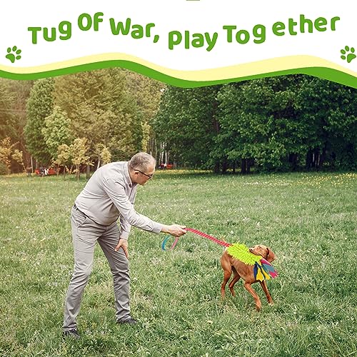 wodoca Dog Tug Toys - Aggressive Chewer Rope Toy with Strong Squeak, Ideal for Large Dogs, Training, and Play - color: Green Chenille, Pink Webbing
