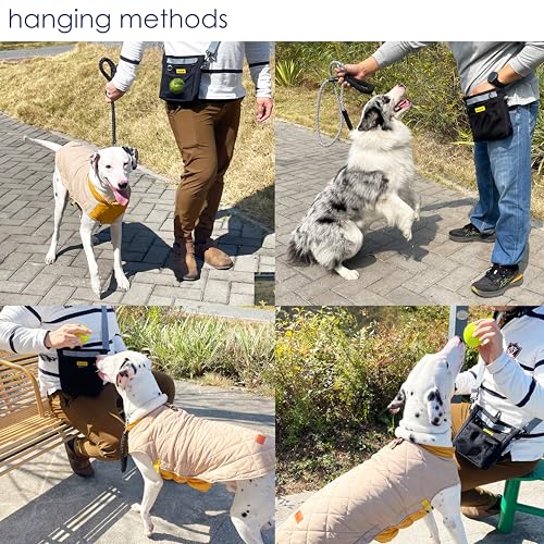 Raisingwell Dog Treat Pouch with Magnetic Closure 4-Cup Silicone Bag Fanny Pack Holder with Clicker 4 Ways to Wear Front Pocket Fits All Phones Ideal for Leash, Pet Walking and Training（Black） - color: F.Black, size: 4CUP