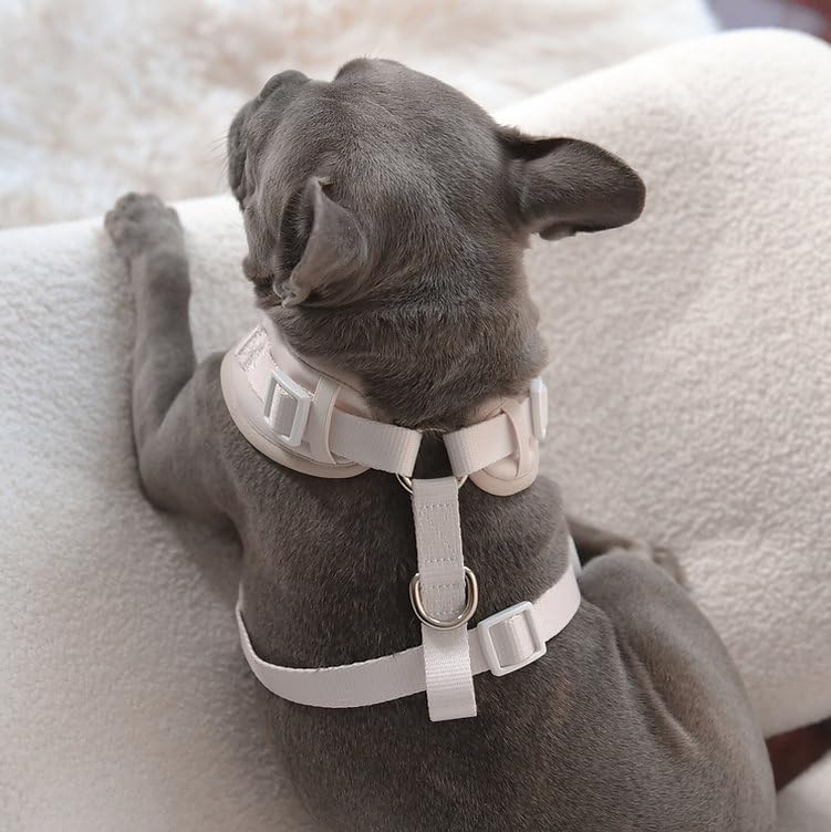 Premium No-Pull Dog Harness Soft Neoprene & Breathable Mesh Vest with Front & Back Clip D-Rings Adjustable Lightweight Walking Harness for Puppies, Small & Medium Dogs (Sand, S) - color: Sand, size: S: Neck=13.8-17.3''/Chest=16.1-21.3''