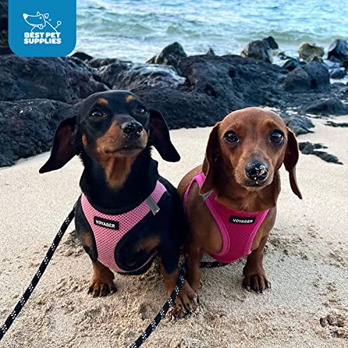 Best Pet Supplies Voyager Step-in Air Harness - All Weather Mesh, Reflective, No Pull Harness for Dogs, Cats - Secure with Hook & Loop Fastener, Buckle, Double D-Rings - Fuchsia, L - color: Harness (Fuchsia), size: L (Chest: 18 - 20.5")