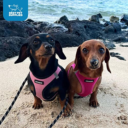 Best Pet Supplies Voyager Step-in Air Harness - All Weather Mesh, Reflective, No Pull Harness for Dogs, Cats - Secure with Hook & Loop Fastener, Buckle, Double D-Rings - Fuchsia, XL - color: Harness (Fuchsia), size: XL (Chest: 20.5 - 23")