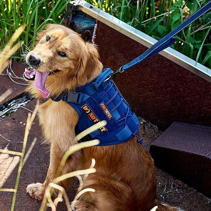 OneTigris Handled No-Pull Dog Walking Leash Long Traffic Leads for Medium to Large Dogs (Blue, 6FT) - color: Blue, size: 6FT