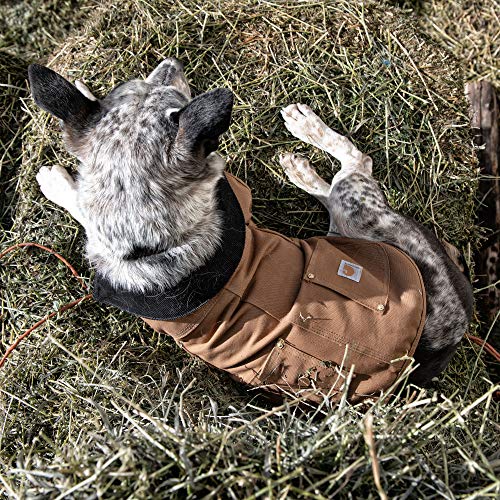 Carhartt Gear P0000340 Firm Duck Insulated Dog Chore Coat - Large - Army Green - color: Army Green, size: Large