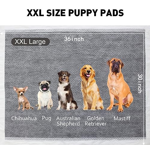 BinetGo Disposable Pee Pads for Dogs, 35 Count 30" x 36" XX-Large Wee Wee Pads for Dogs, Extra Absorbent Puppy Pads, Pet Training Pads for Dog, Charcoal Puppy Pee Pad for Indoors - size: XXL - 30" X 36"