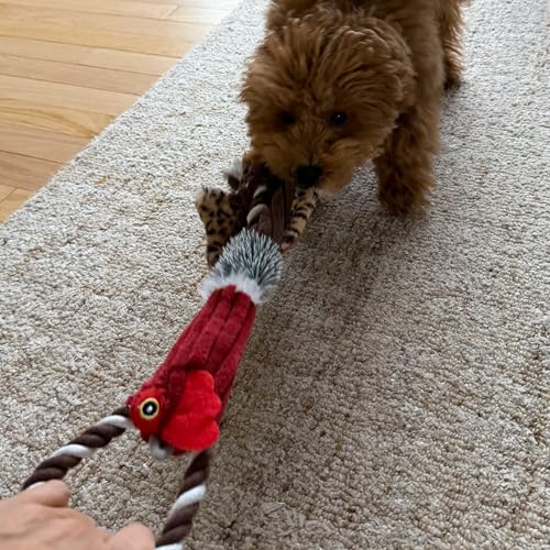 SPOT Skinneeez Tugs Mini Duck Tug Dog Toy – 14" Stuffing-Free Plush Toy with Rope Handle & Squeaker – Durable Tug Toy for Small & Medium Dogs, Moderate Chewers, Assorted Styles - size: 14"