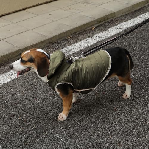 Vecomfy Fleece Lining Dog Hoodie with Harness Built in,Extra Warm Small Dog Jacket in Winter Puppy Coats with Drawstring Hooded,Green XS - color: Green(Harness Built in), size: X-Small (Pack of 1)