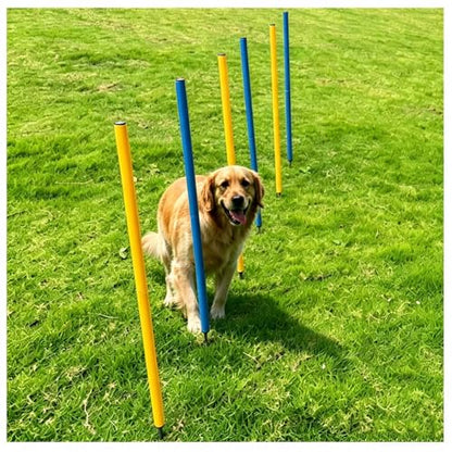 6-Pack Dog Agility Weave Poles with Stakes for Backyard Dog Training - color: SLV-weave 6