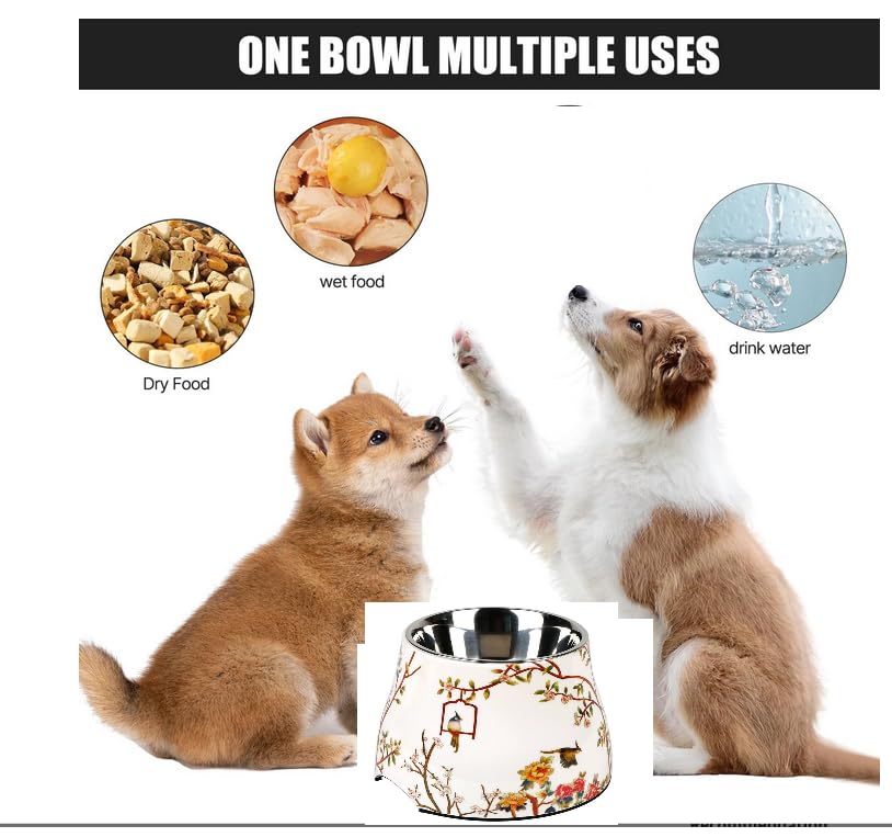 Ceramic Dog Bowl 5 inch Height for Cats and (10-25lbs) Small and Toy size Dogs includes Food-Grade 304 Stainless Steel Bowls Non-Slip 2 Cups(540ml) Bowl Feeder in an Artful and Design (White) - color: White, size: Small