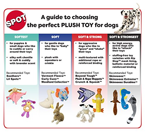 SPOT Skinneeez Flat Cat 11.5 Inch Stuffing-Free Plush Squeaky Dog Toy – Soft Interactive Toy for Mini and Small Dogs – Mess-Free Play for Light Chewers – Assorted Styles - style: Mini Flat Cat