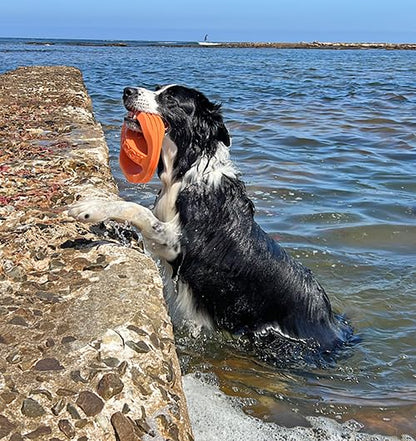 Van Ness Pets Doggi Catch and Carry Flying Disc Floating Dog Toy, Large, Orange - size: Large