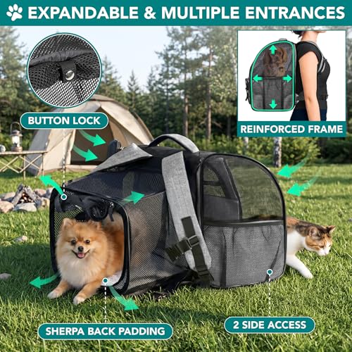 PetAmi Expandable Dog Backpack Carrier for Cats & Pets, Breathable Cat Carrier Backpack with Top Window & Multi-Entry, Ventilated Foldable Travel Carrier for Small Medium Pets up to 18 lbs, Light Gray - color: Gray