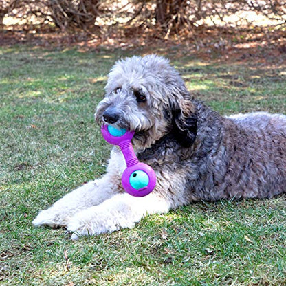 Chew King Premium Treat Dog Toy, Durable Natural Rubber Collection, Fetch and Tug Dog Toy, Dog Treat Toys for Boredum - color: Throw Stick with 2 Balls
