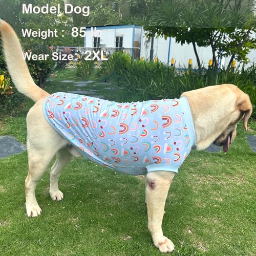 Dog Sleeveless T Shirt Blue Rainbow Prints Vest Shirt Soft Stretchy Summer Clothes for Large Dogs Boys Girls Shirt 2X-Large,Rainbow - color: Rainbow, size: 2XL