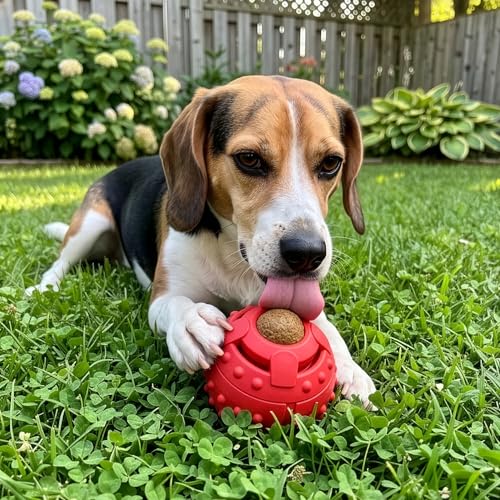 SPOT Seek-A-Treat Double Puzzle Ball Dog Toy, 3.25 in Durable Rubber Treat Dispenser with Dual Openings for Mental Stimulation & Long-Lasting Play, for Dogs up to 50 lbs