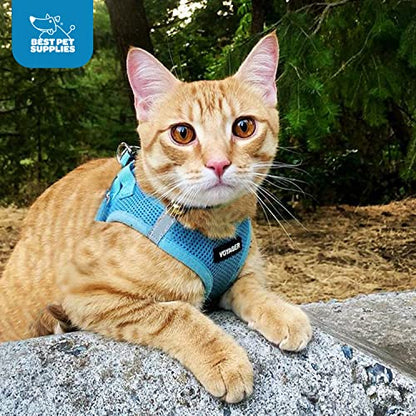 Best Pet Supplies Voyager Step-in Air Harness - All Weather Mesh, Reflective, No Pull Harness for Dogs, Cats - Secure with Hook & Loop Fastener, Buckle, Double D-Rings - Baby Blue, S - color: Harness (Baby Blue), size: S (Chest: 14.5 - 16")