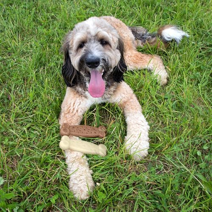 Chew King by Mammoth Gear Nylon Bones, Textured Bacon Flavored Chew Toy - size: Medium, style: Bones (2 Pack)