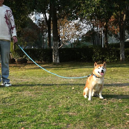 ZALER Rope Dog Leash, 4/5/6/10/15/20/30/50 Foot Heavy Duty Dog Leashes with Carabiner, Nylon Pet Lead for Large and Medium Dogs (4FT, Black Purple) - color: Black Purple, size: 4FT*1/2"
