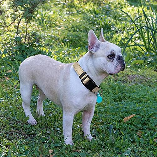 Ladoogo Reflective Dog Collar Padded with Soft Neoprene Breathable Adjustable Nylon Dog Collars for Small Medium Large Dogs (X-Small (Pack of 1), Vanilla Collar+Leash) - color: Vanilla Collar+Leash, size: X-Small (Pack of 1)