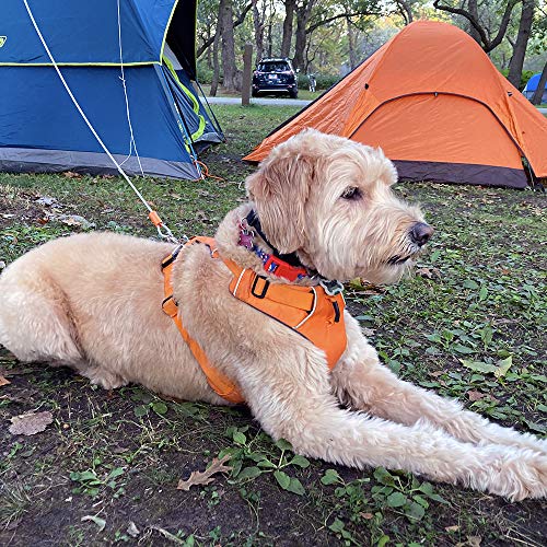 BV Dog Tie Out Cable 25 Feet - Heavy Duty Dog Lead up to 90 Pounds - Reflective & Rust-Free with Quick Release Swivel Clips & 360° Rotating Clasp - Tangle-Free Dogs Runner for Yard (Silver, Single) - color: 90lbs/ 25ft/ Silver, style: Single