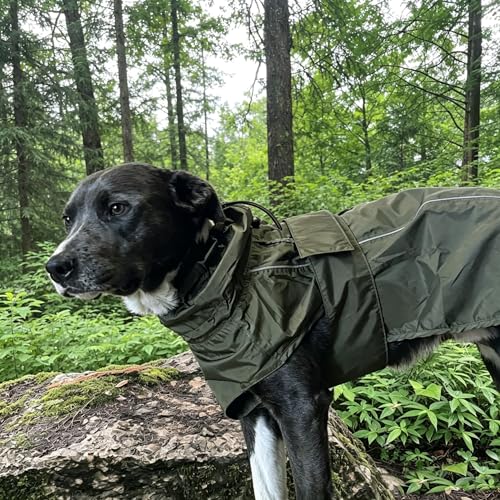 Waterproof Dog Raincoat, Adjustable Lightweight Dog Rain Jacket with Reflective Strip Leash Hole for Small Medium Large Dogs (Green, 3X-Large(77-94lb)) - color: Green, size: 3X-Large(77-94lb)