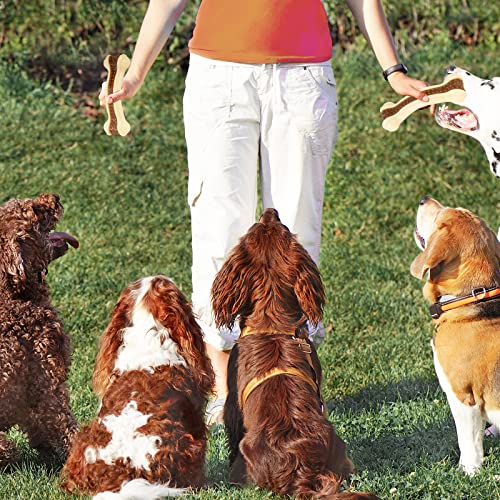Dog Toys for Aggressive Chewers, 2 Pack Nylon Durable Dog Bones with Real Beef Flavor for Large/Medium/Small Breeds Pet Chew Toys - size: Large+Medium