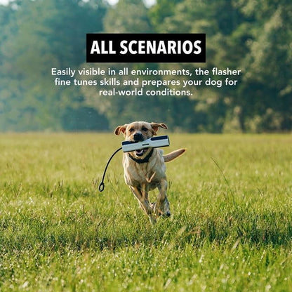 GUNNER Dog Training Bumper - Retriever Training Dummy, Retrieving Dummies for Pets, Bumpers for Water Retrieving with Adjustable Rope, (Flasher) - color: "Mark" Flasher