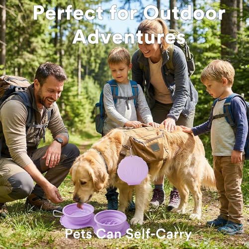 Collapsible Silicone Dog Bowl (Purple) - color: Purple