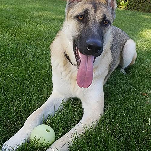 Chew King 2 Piece Glowing Fetch Ball - color: A) 2-Pack (2.5" Balls)