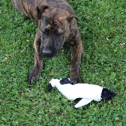 SPOT Skinneeez Stuffing Free Arctic Animal Dog Toy - with Squeaker in Head and Tail, Stuffingless Design is Great for Moderate Chewers, Tug Toy for Small Puppies & Dogs - 15in, Assorted Styles, 1 Toy - size: Small/15 Inch (Pack of 2)