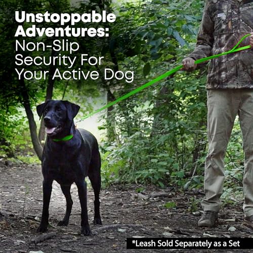 Regal Dog Products Large Light Green Dog Collar with Heavy Duty Double Buckle & D Ring | Vinyl Coated, Custom Fit, Adjustable Biothane Dog Collar Chew Resistant Waterproof Center-Ring Collar for Dogs - color: Green, size: Large