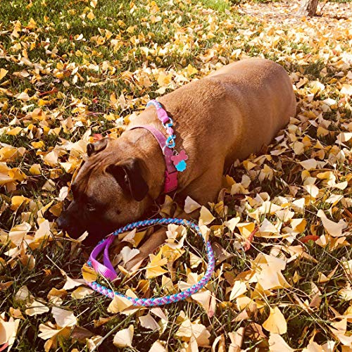 2/3/4/6/10 Foot Reflective Dog Leash Strong Nylon Rope Braided Heavy Duty for Large Medium Small Dogs Walking Training Leads (Pink, 4ft * 1/2") - color: Pink, size: 4ft * 1/2"