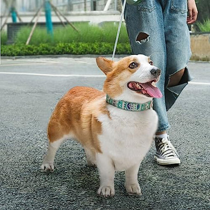 Retractable Dog Leash for Small Medium Dogs, Pink Retractable Dog Leash with Flashlight & Poop Bag Holder, 16Ft Dog Walking Leash,A - color: A