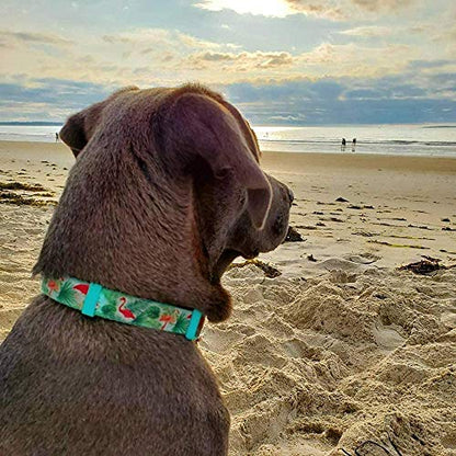 Adjustable Dog Collar, Durable Nylon Collars for Large Female Male Dogs & Puppies, Flamingo Print Cute and Soft - color: Green Flamingo, size: Small