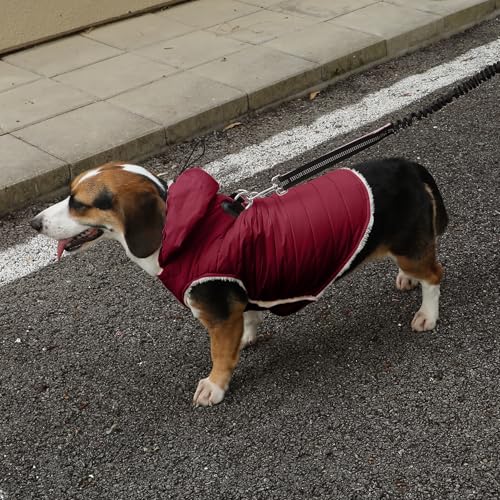 Vecomfy Fleece Lining Dog Hoodie with Harness Built in,Extra Warm Small Dog Jacket in Winter Puppy Coats with Drawstring Hooded,Red XS - color: Red(Harness Built in), size: X-Small (Pack of 1)