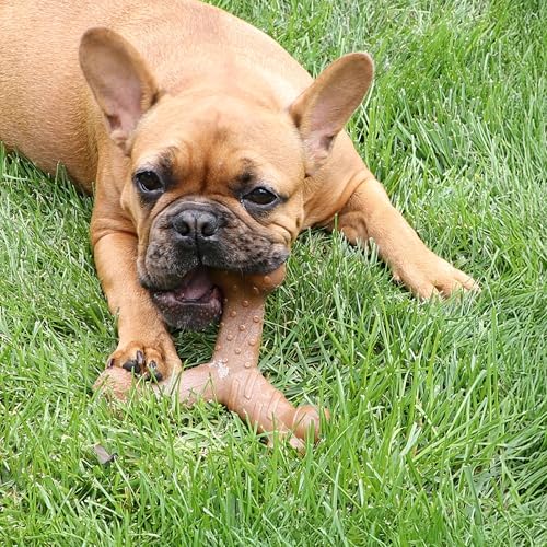 Chew King by Mammoth Dog Bacon Lovin’ Wishbone, Nylon Bones, Textured Bacon Flavored Chew Toy, for All Breed Sizes - size: Medium, style: Wishbone (1 Pack)