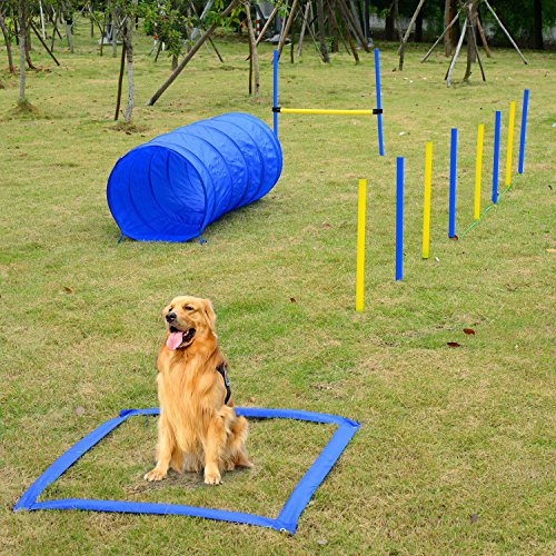 Professional Dog Agility Training Set with Adjustable High Jump, Weave Poles, Pause Box, and Open Tunnel for Outdoor Practice