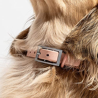 Wild One Dog Collar, Easy-Clean, All Weather Flex-Poly Strap with Metal, Durable, Dirt and Odor Resistant (Blush, L) - color: Blush, size: L