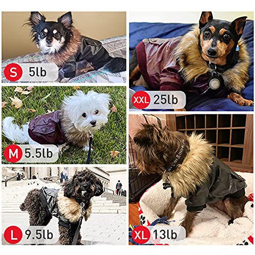 LESYPET Dog Leather Jacket for Small Dogs, Waterproof Dog Winter Jacket Puppy Coat with Fleece Lined, Ultra Warm Fur Collar Doggie Coat, Red M - color: Wine Red, size: Medium