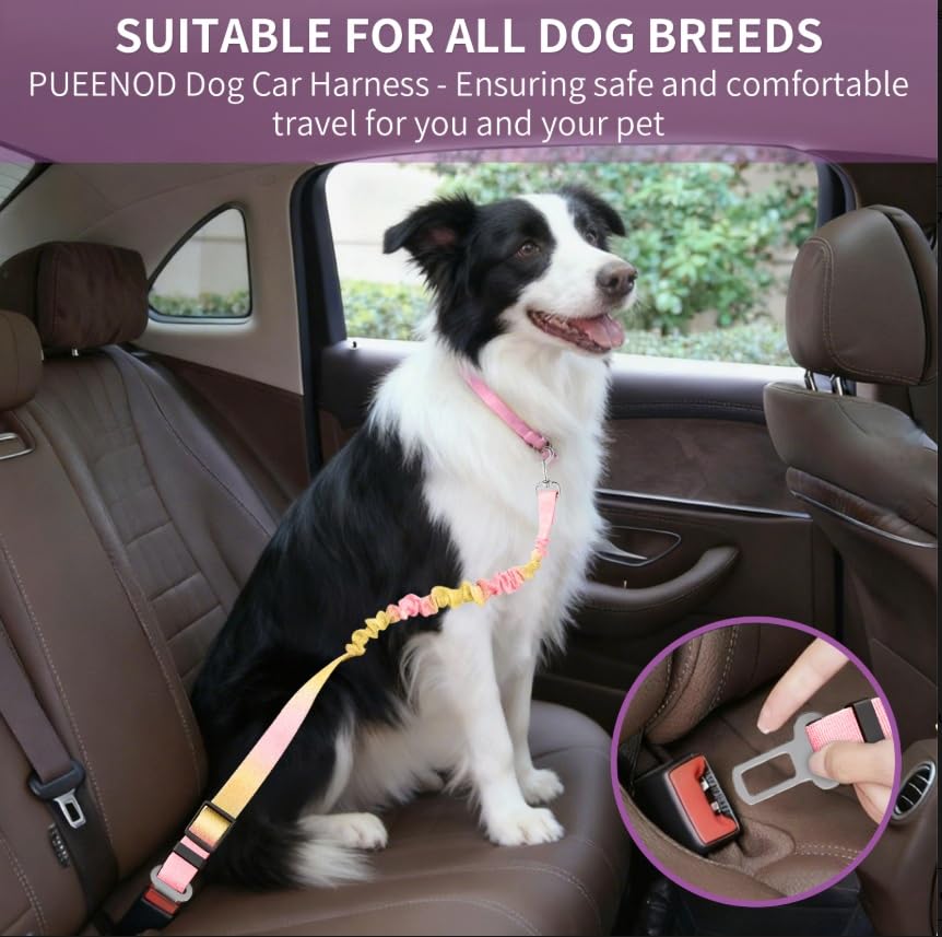 BZ Pet Collective Adjustable Dog Seat Belt for Car, Shock Absorbing Bungee Pet Safety Tether with Vehicle Seatbelt Buckle & Swivel Clip, Travel Restraint for Small Medium Large Dogs