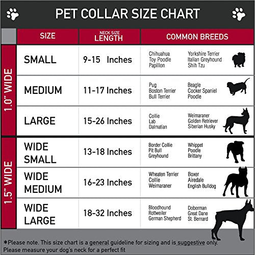 Buckle-Down Martingale Dog Collar - Mohawk Skulls - NO Star - size: 1.5" Wide - Fits 18-32" Neck - Large