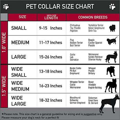 Buckle-Down Martingale Dog Collar - Mohawk Skulls - NO Star - size: 1.5" Wide - Fits 18-32" Neck - Large
