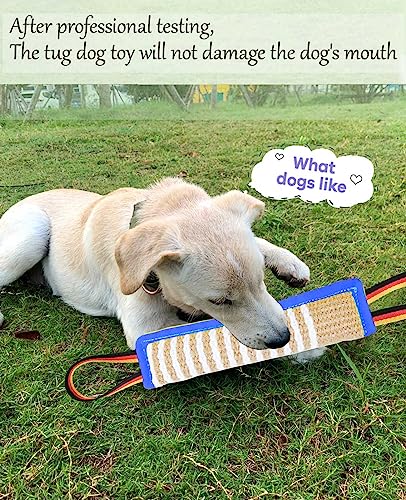 Clysoru Dog Tug Toy Tough Jute Bite Pillow Lasting Training Equipment Puppy to Large Dogs Interactive for Large and Small - color: Fiag Blue