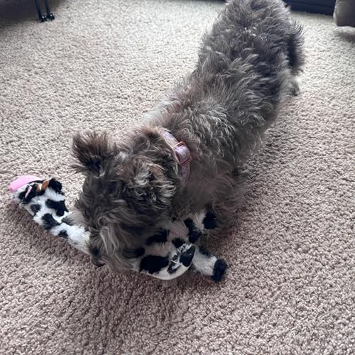 SPOT Skinneeez Crinklers Cow - Stuffing-Free Dog Toy with Crinkle & Squeaker Sounds, Durable for Moderate Chewers, Tug Toy for Small Dogs & Puppies, 14in - style: Small Cow
