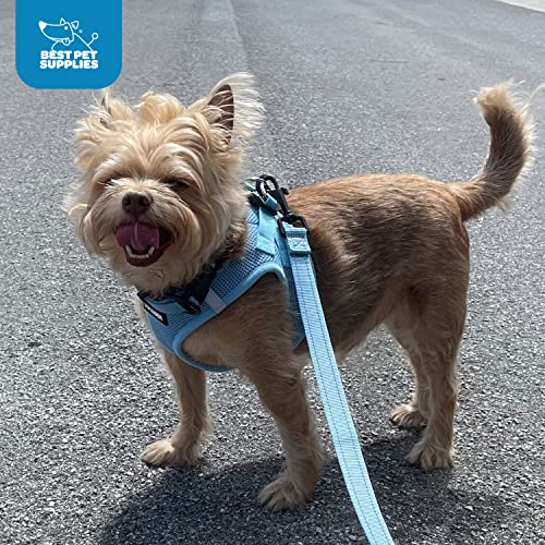 Voyager Step-in Air All Weather Mesh Harness and Reflective Dog 5 ft Leash Combo with Neoprene Handle, for Small, Medium and Large Breed Puppies by Best Pet Supplies - Green, X-Small - color: Leash Harness Set (Army Base), size: XS (Chest: 13 - 14.5")