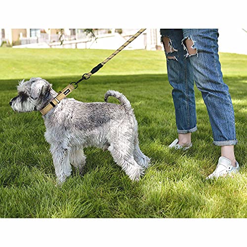 haapaw Martingale Dog Collar with Quick Release Buckle Reflective Dog Training Collars for Small Medium Large Dogs - color: Beige, size: S